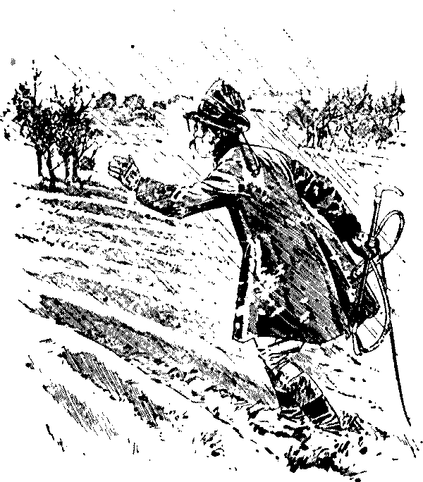 after weary tramp