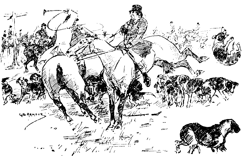  Don't buy a horse