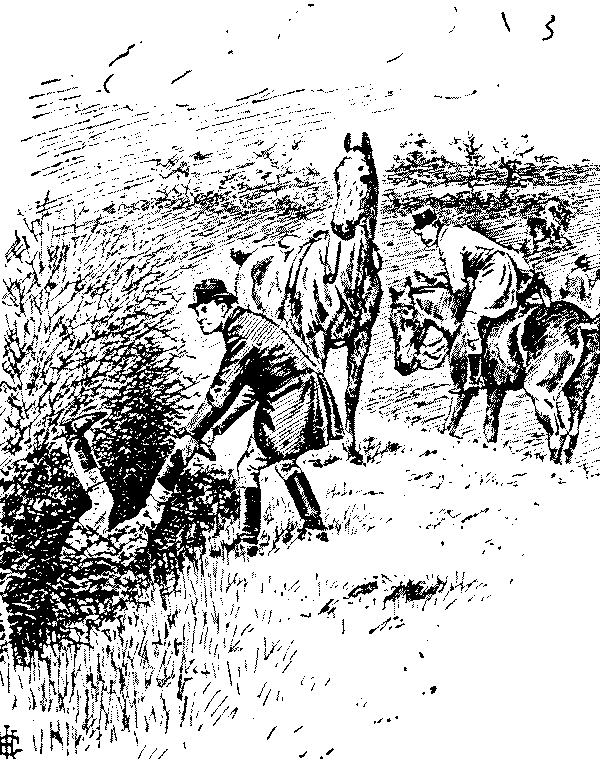 Voice from bottom of ditch