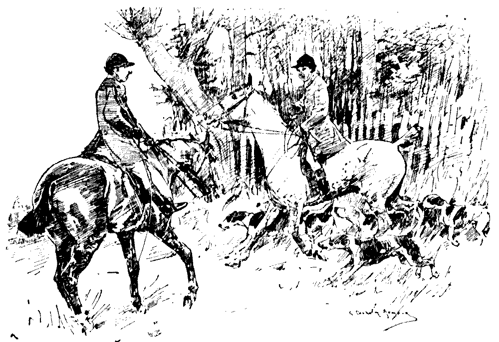 AMENITIES OF SPORT