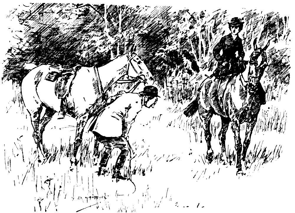 CART WITHOUT THE HORSE