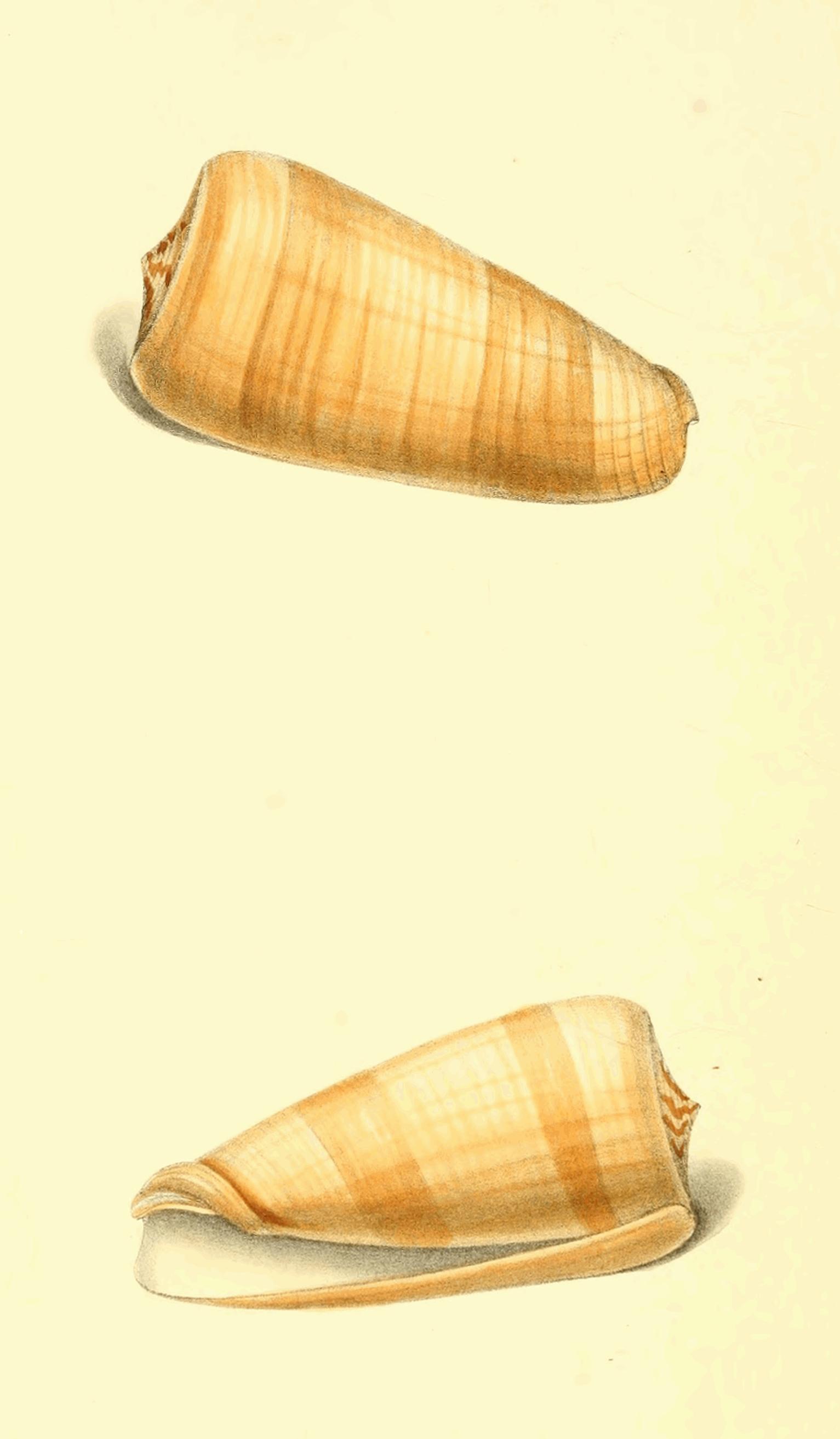 Plate 112.