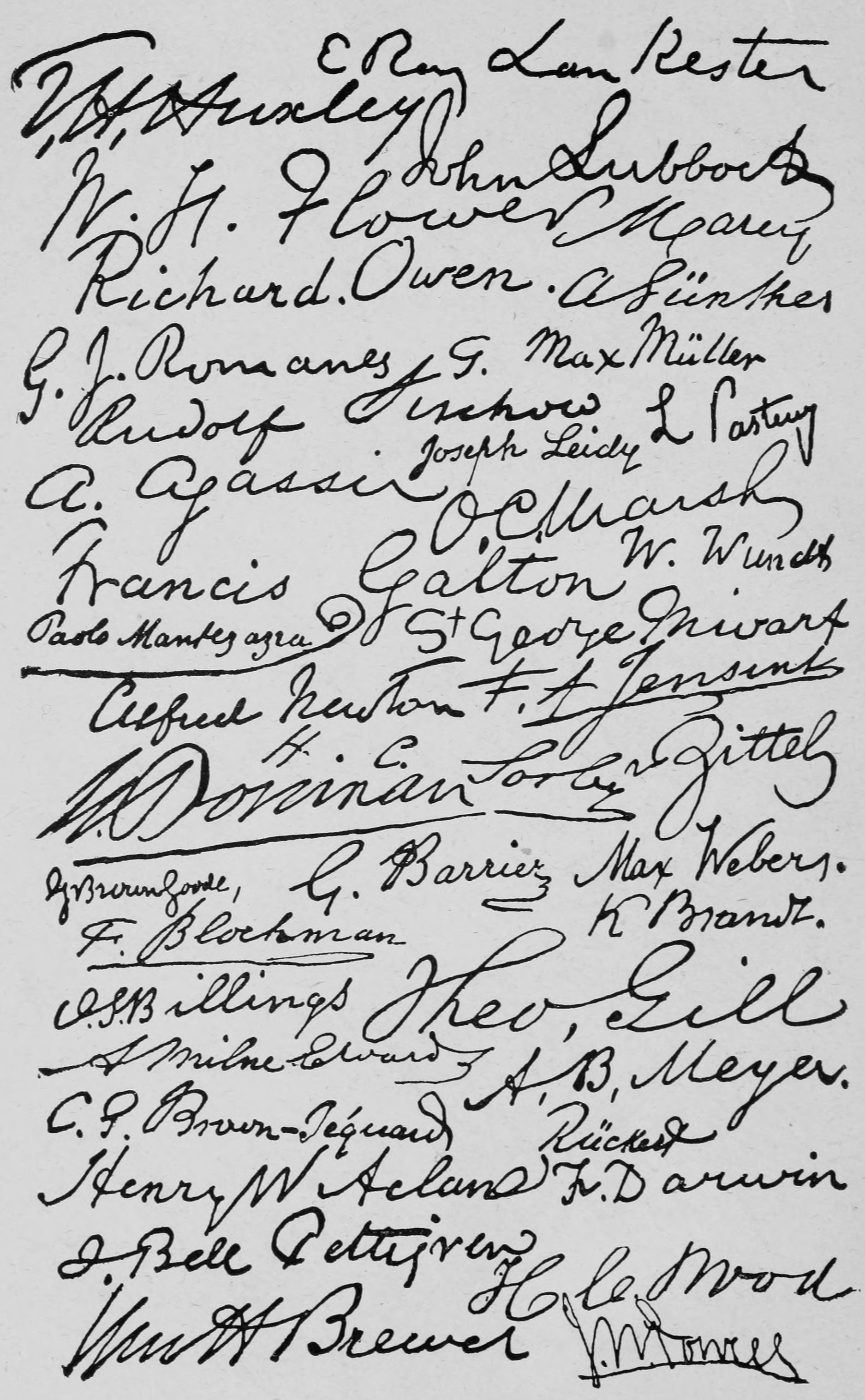 Signatures.