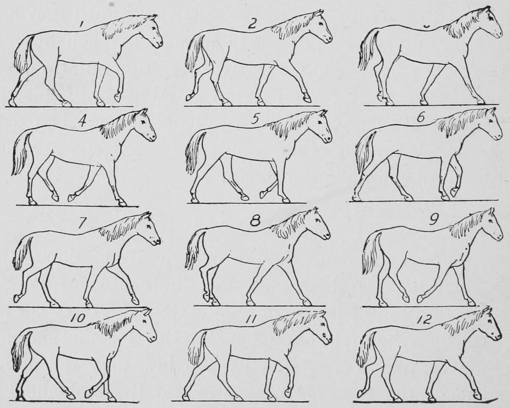 Some consecutive phases of the walk.