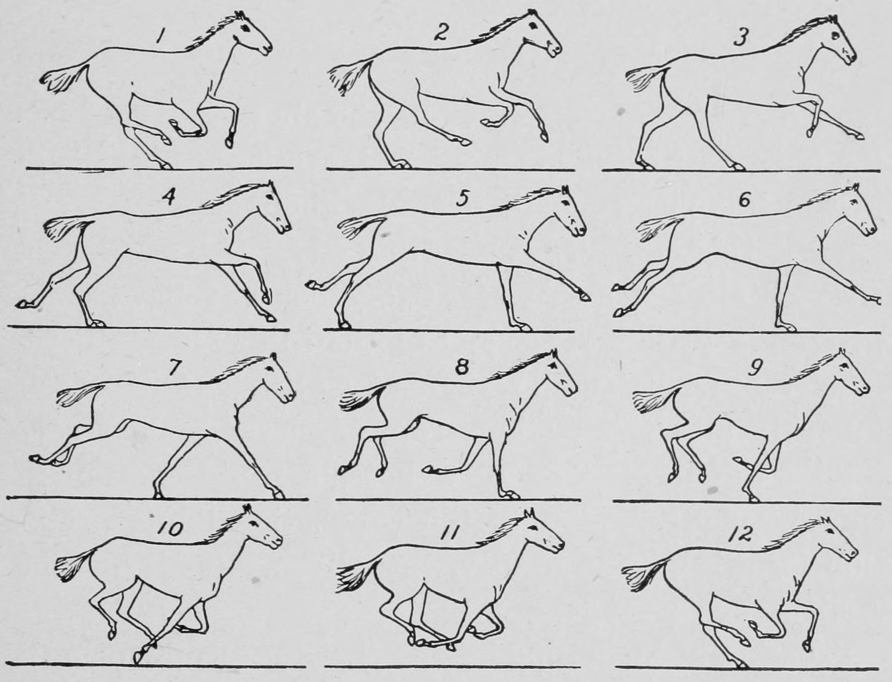 Some consecutive phases of the rack.