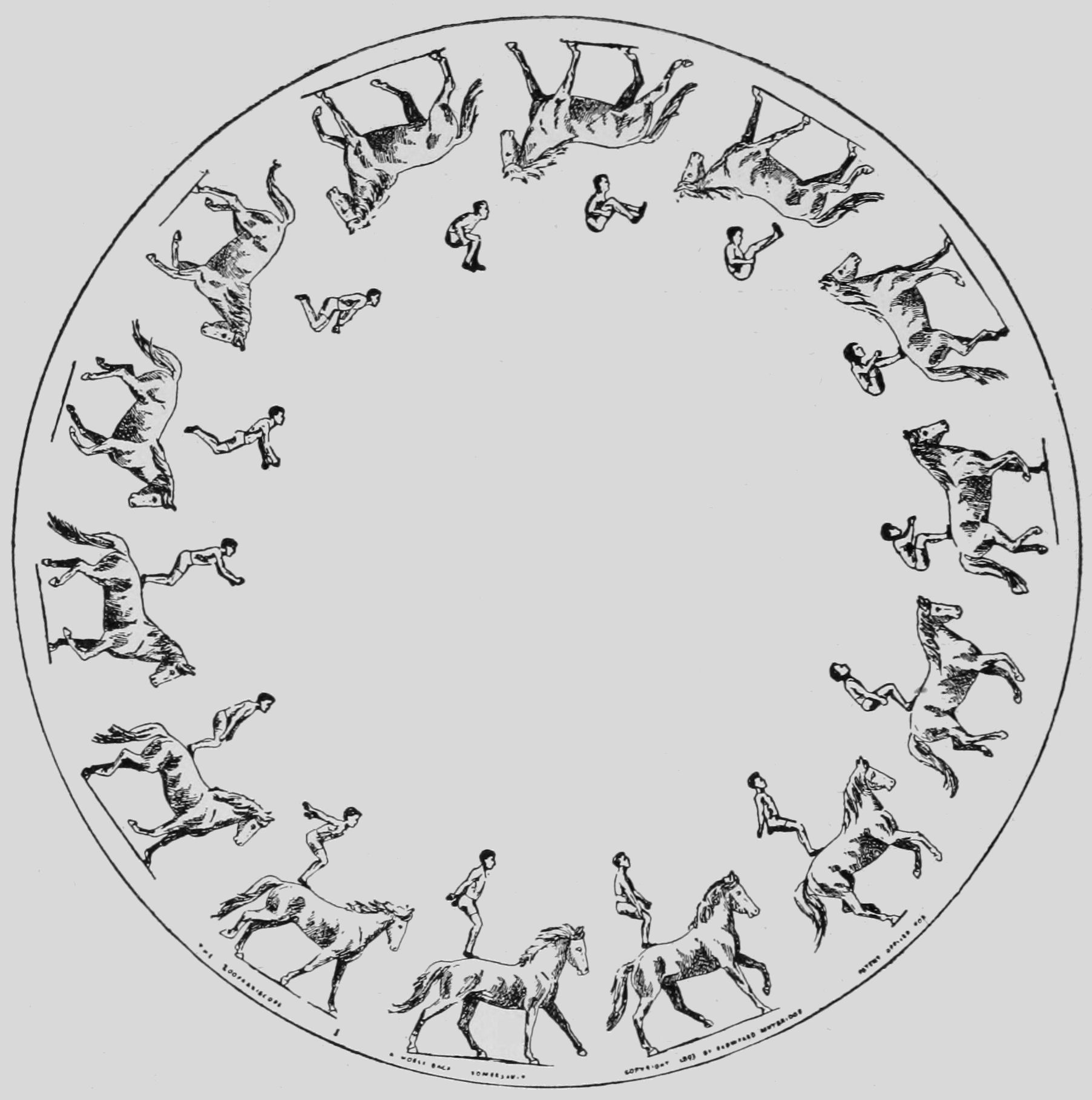 Athlete, Horse-back Somersault