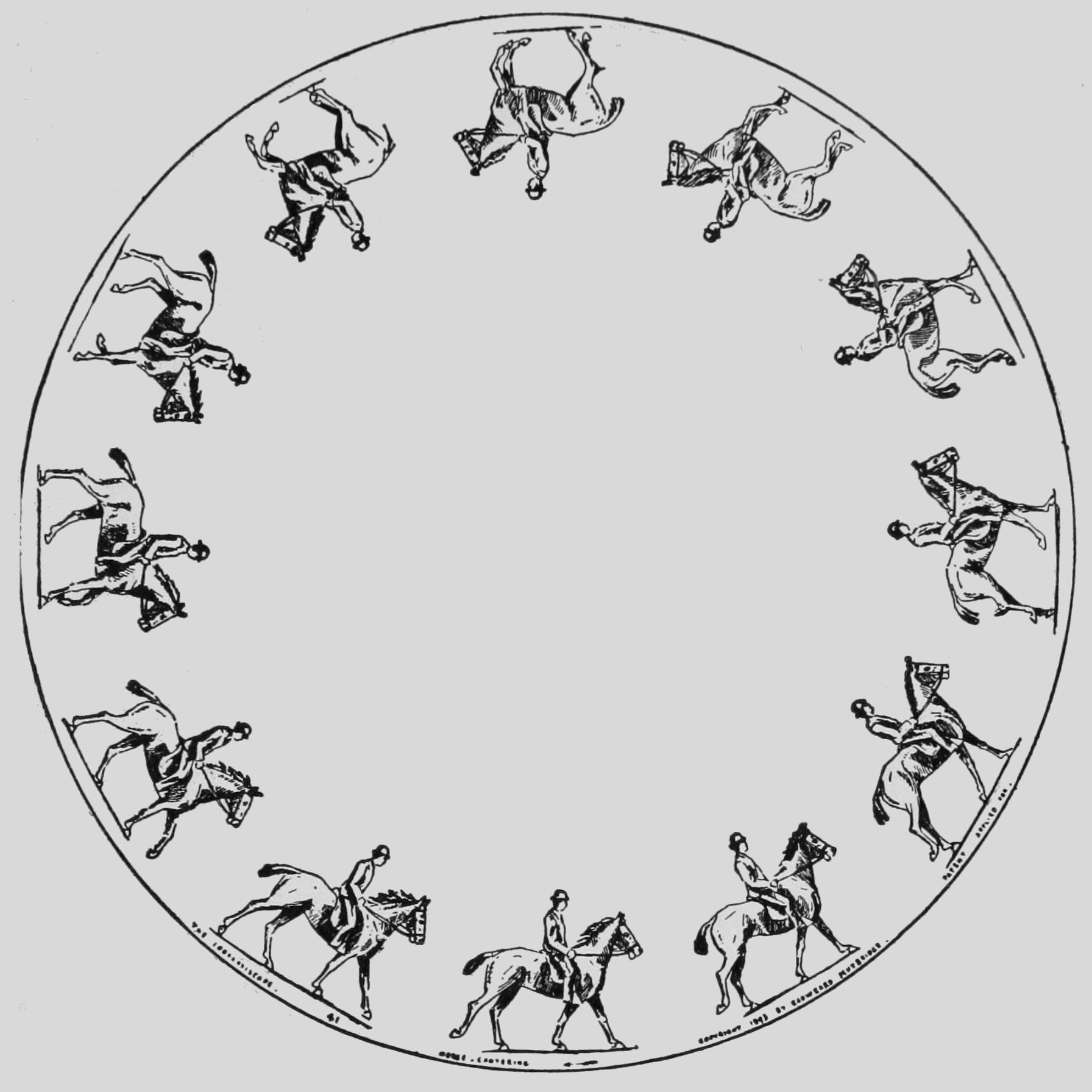 Horse Cantering
