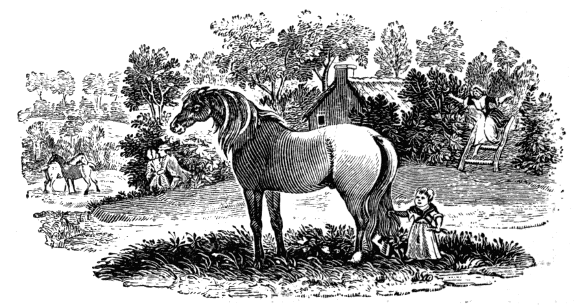 Tail-piece