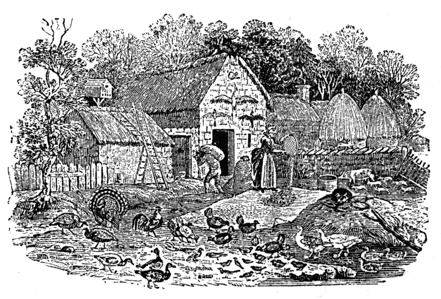 A Farmyard