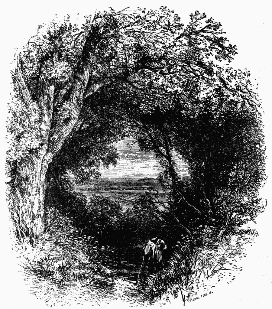 O'erarched with Oaks