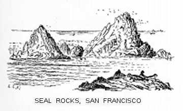 Seal Rocks, San Francisco
