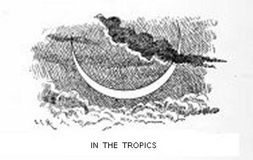 IN THE TROPICS