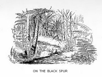 On the Black Spur