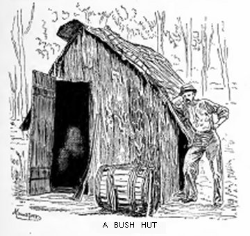 Bush Hut