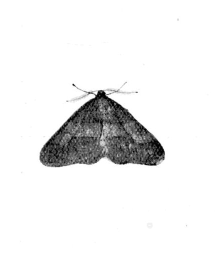 Fig. 10.