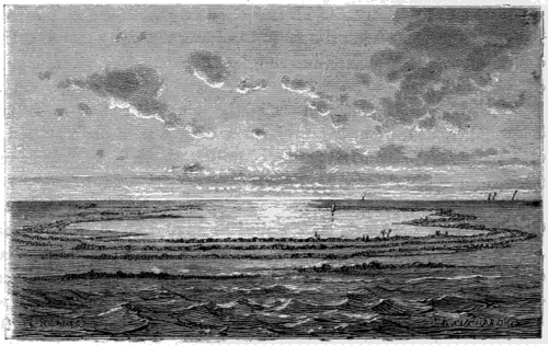 CORAL ISLAND.