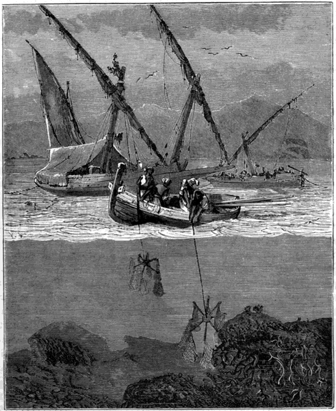 CORAL FISHING.
