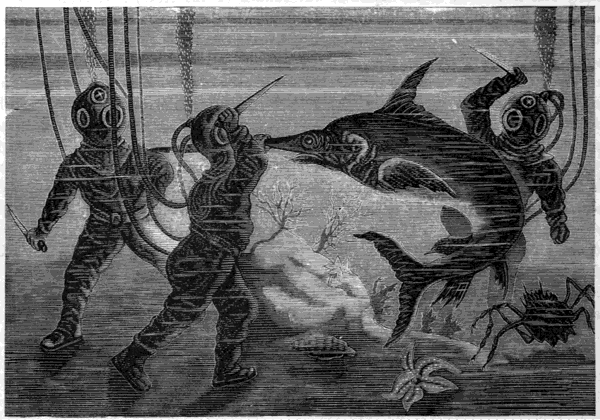DIVERS ATTACKED BY A SWORD-FISH.