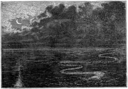 PHOSPHORESCENCE ON THE SURFACE OF THE SEA.