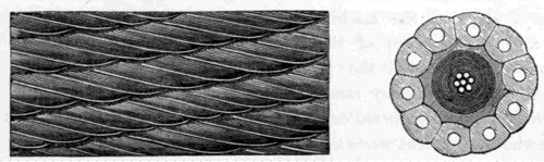 EXTERIOR AND SECTION OF THE 1865 ATLANTIC CABLE.