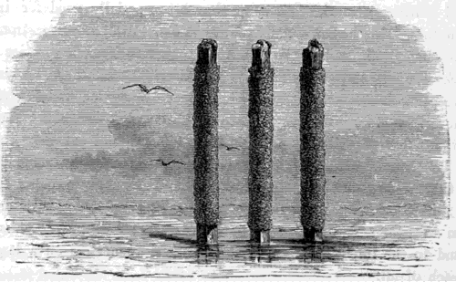 ISOLATED PILES COVERED WITH THE SPAWN OF MUSSELS.