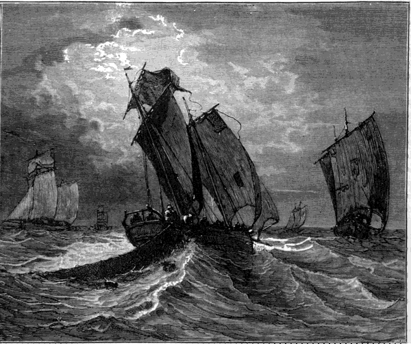 HERRING FISHING.