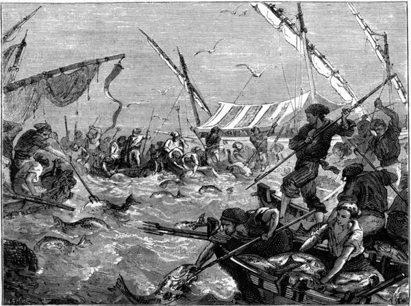 FISHING FOR TUNNY OFF THE COAST OF PROVENCE.