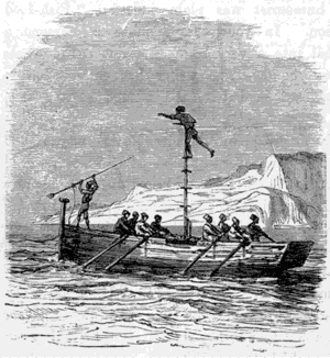 FISHING FOR SWORD-FISH.