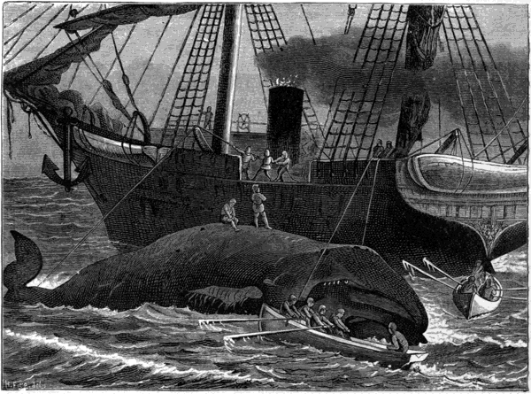 CUTTING UP THE WHALE.