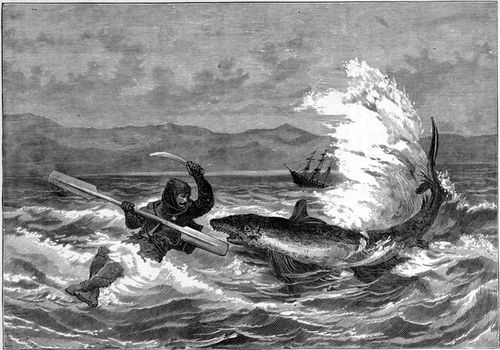 CAPTAIN BOYTON ATTACKED BY A DOG-FISH IN THE STRAITS OF MESSINA.