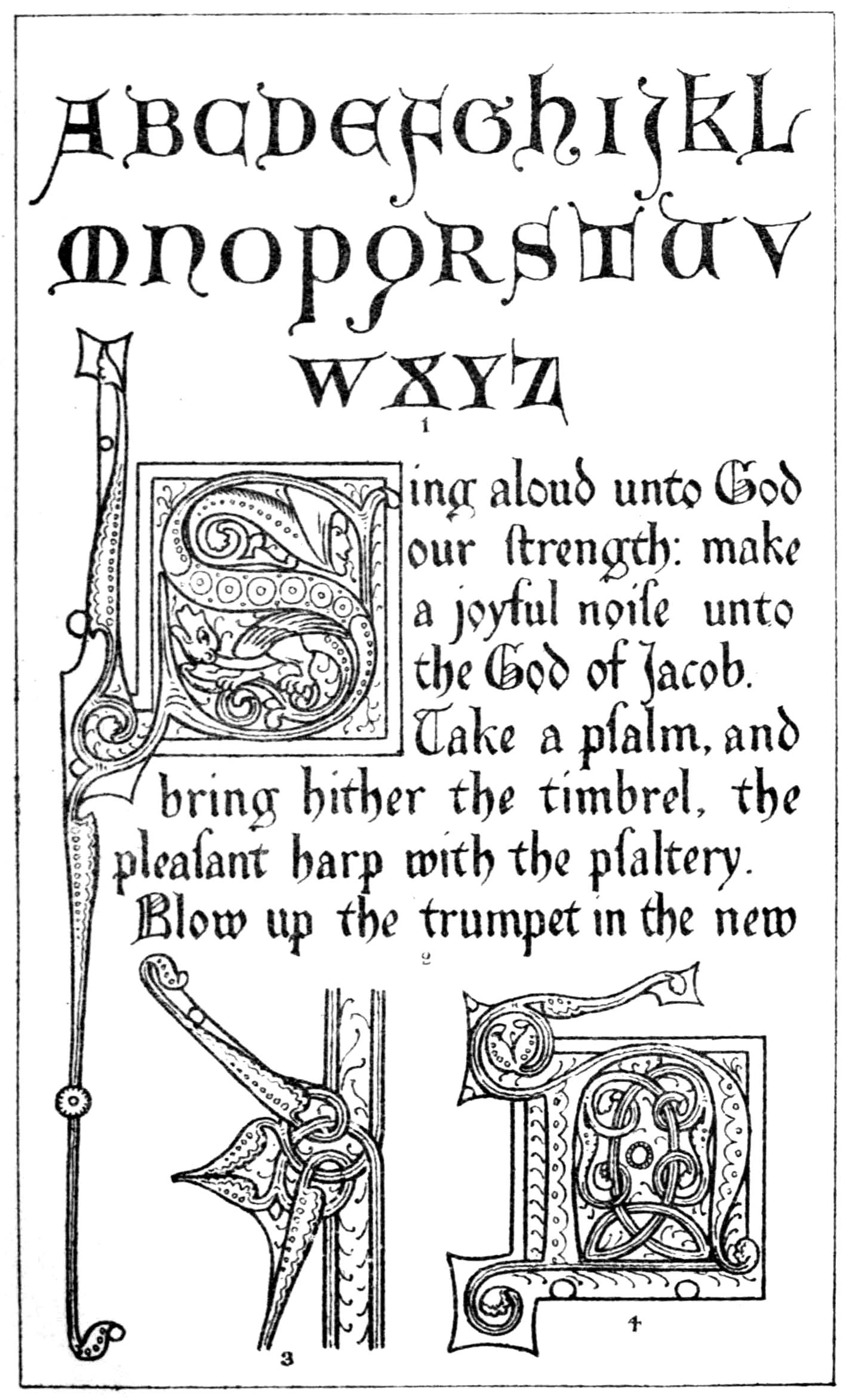 Plate IX