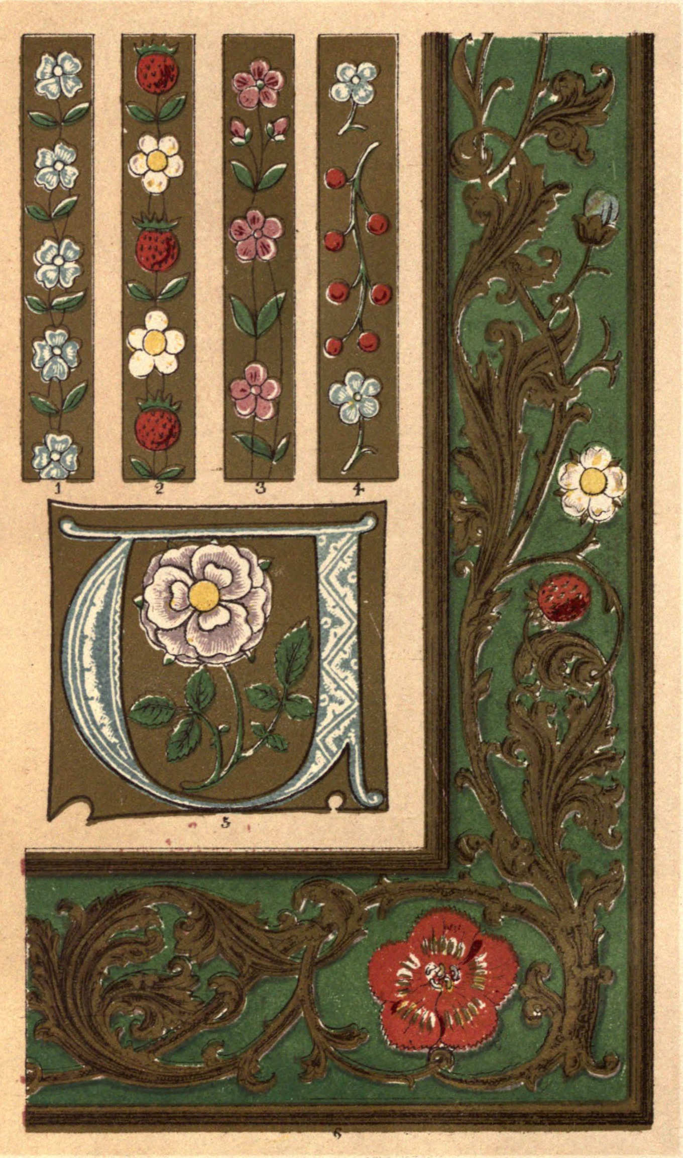 Plate XI