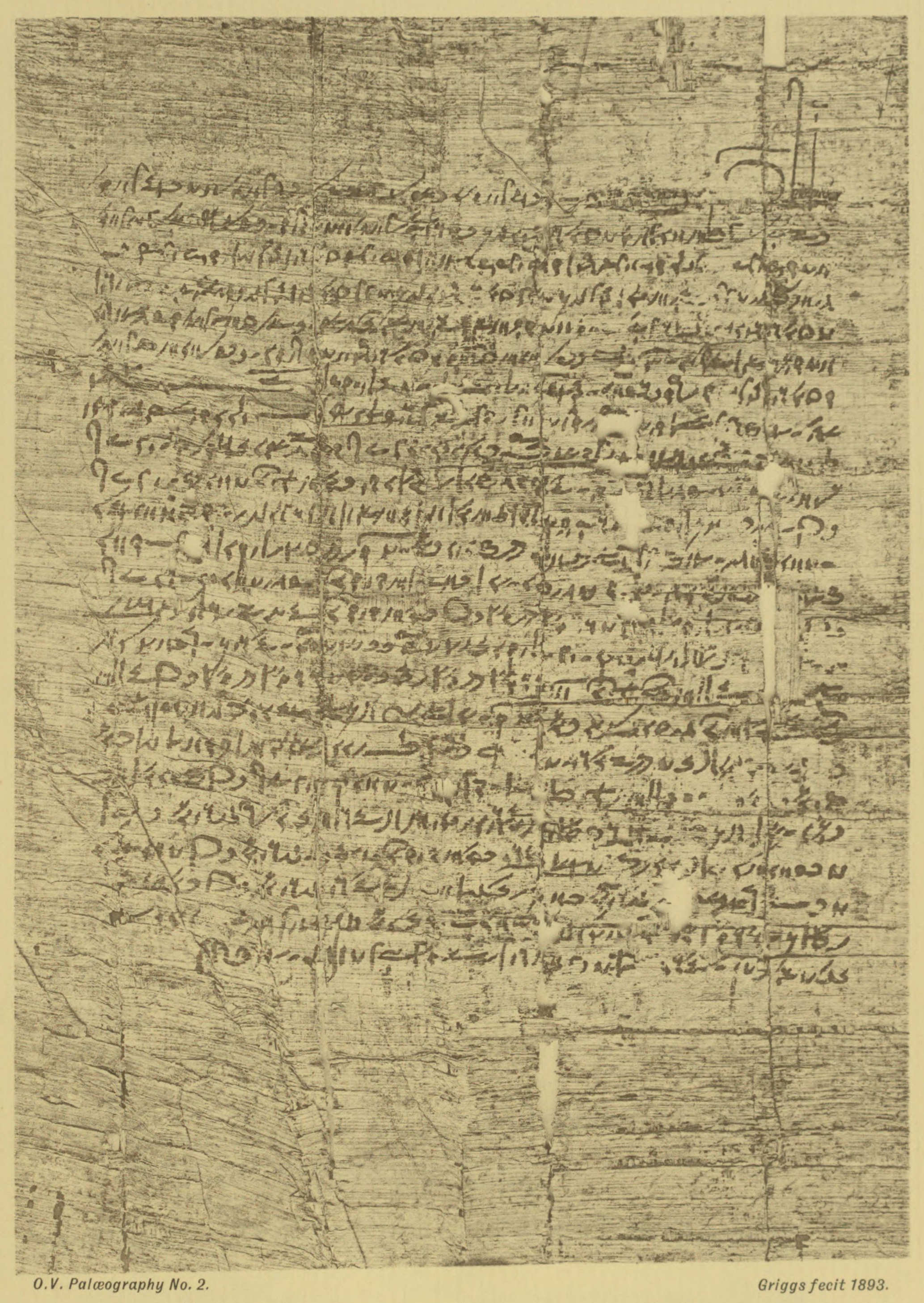Plate 2