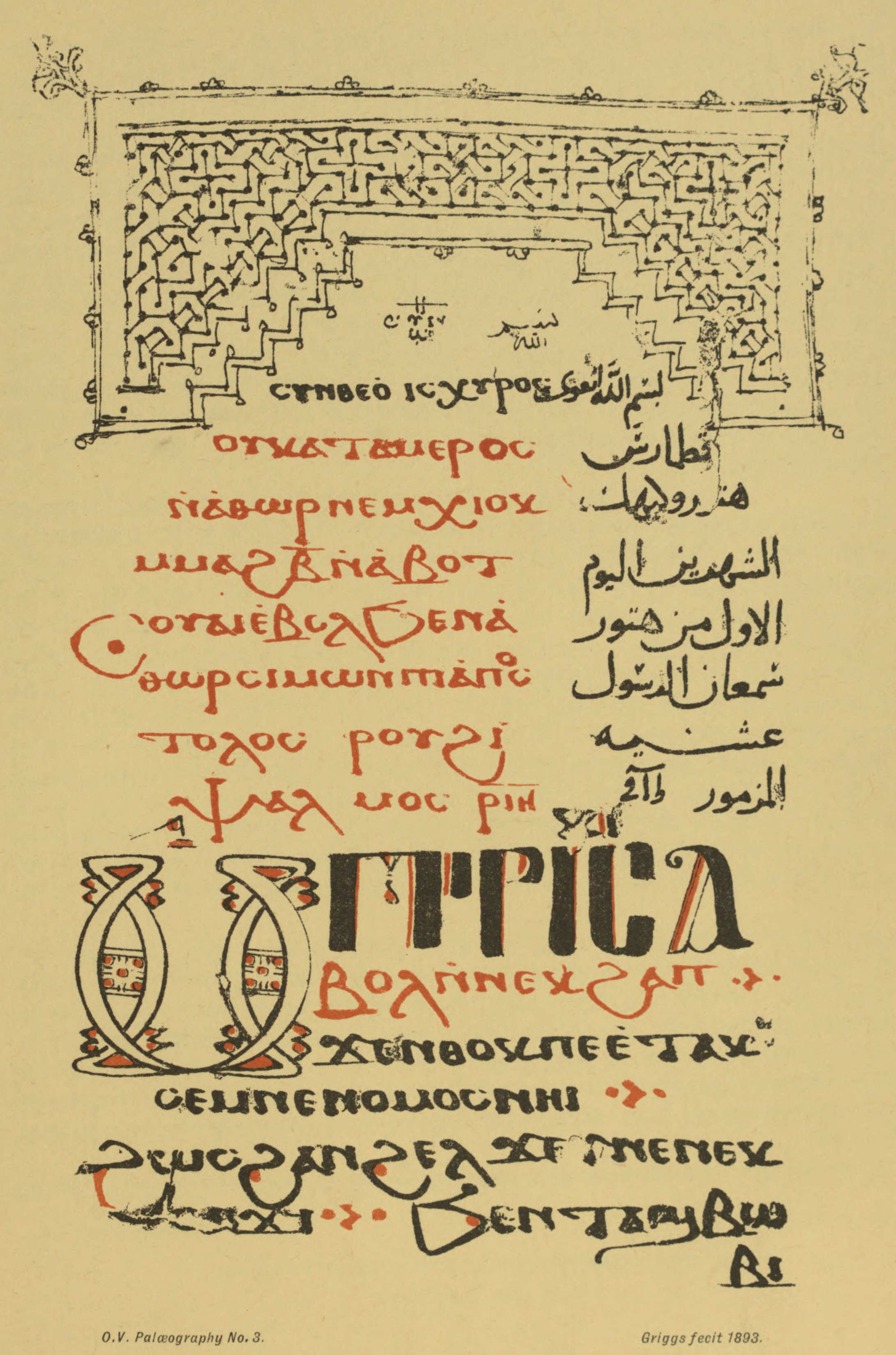 Plate 3