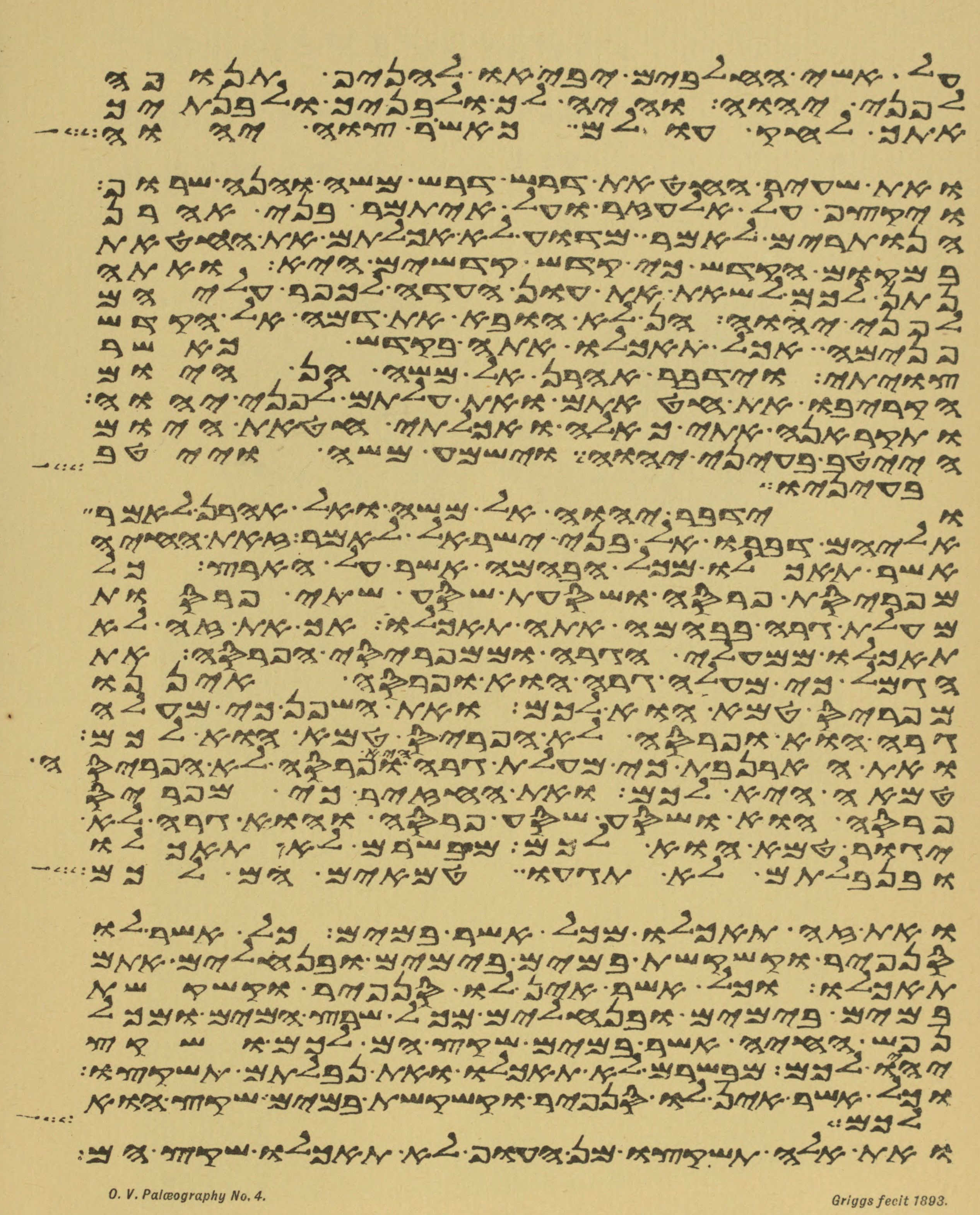 Plate 4