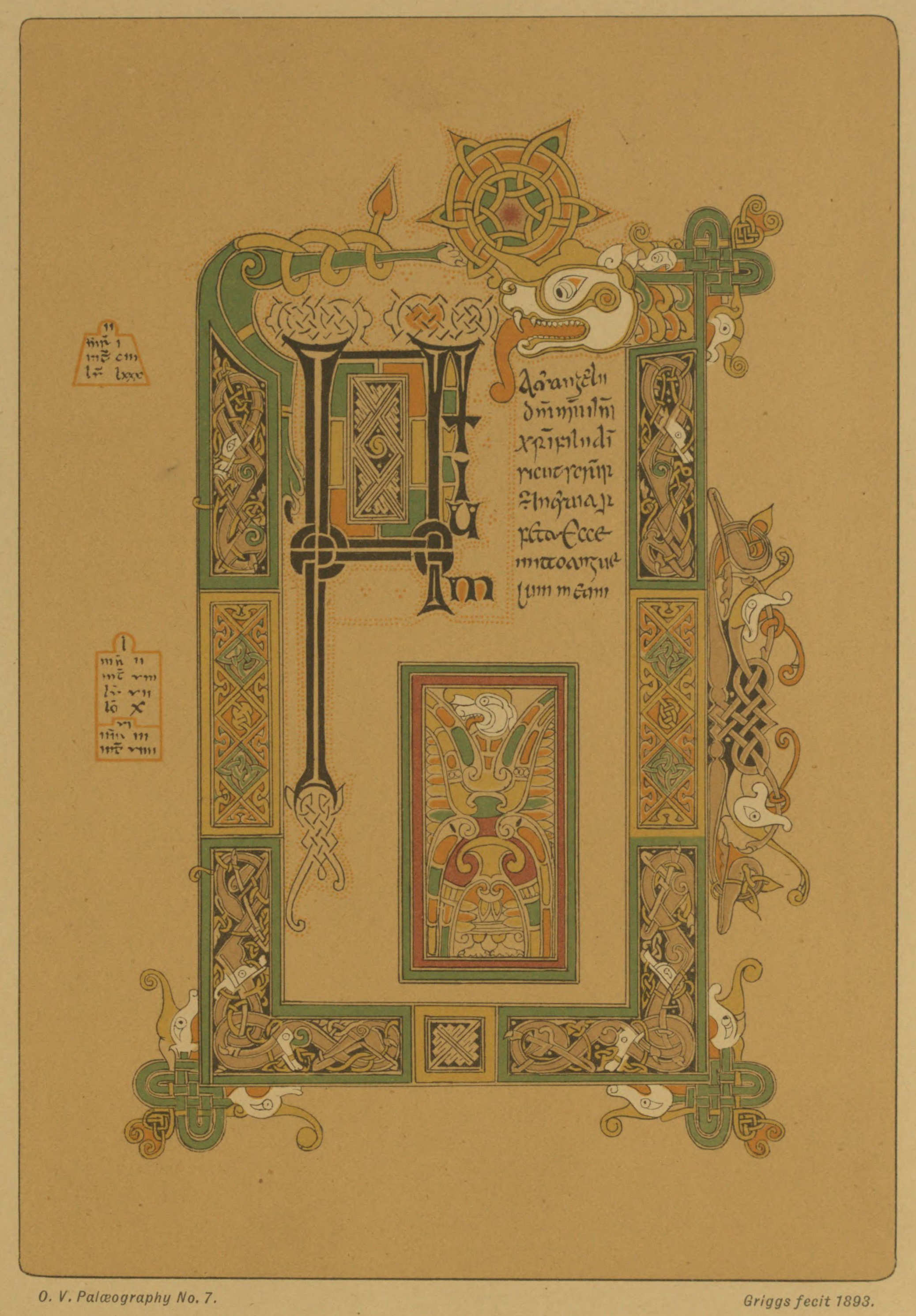 Plate 7
