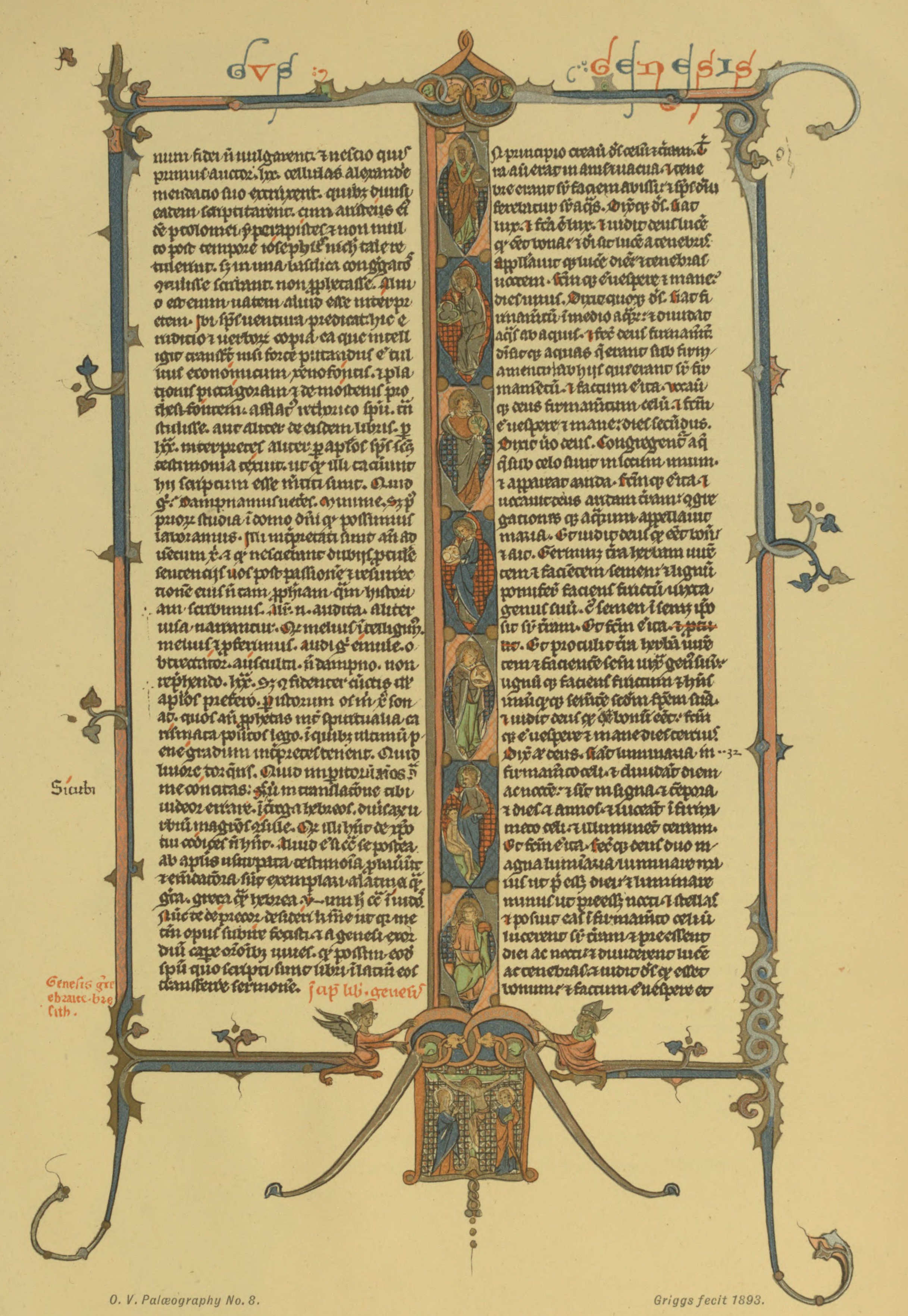 Plate 8