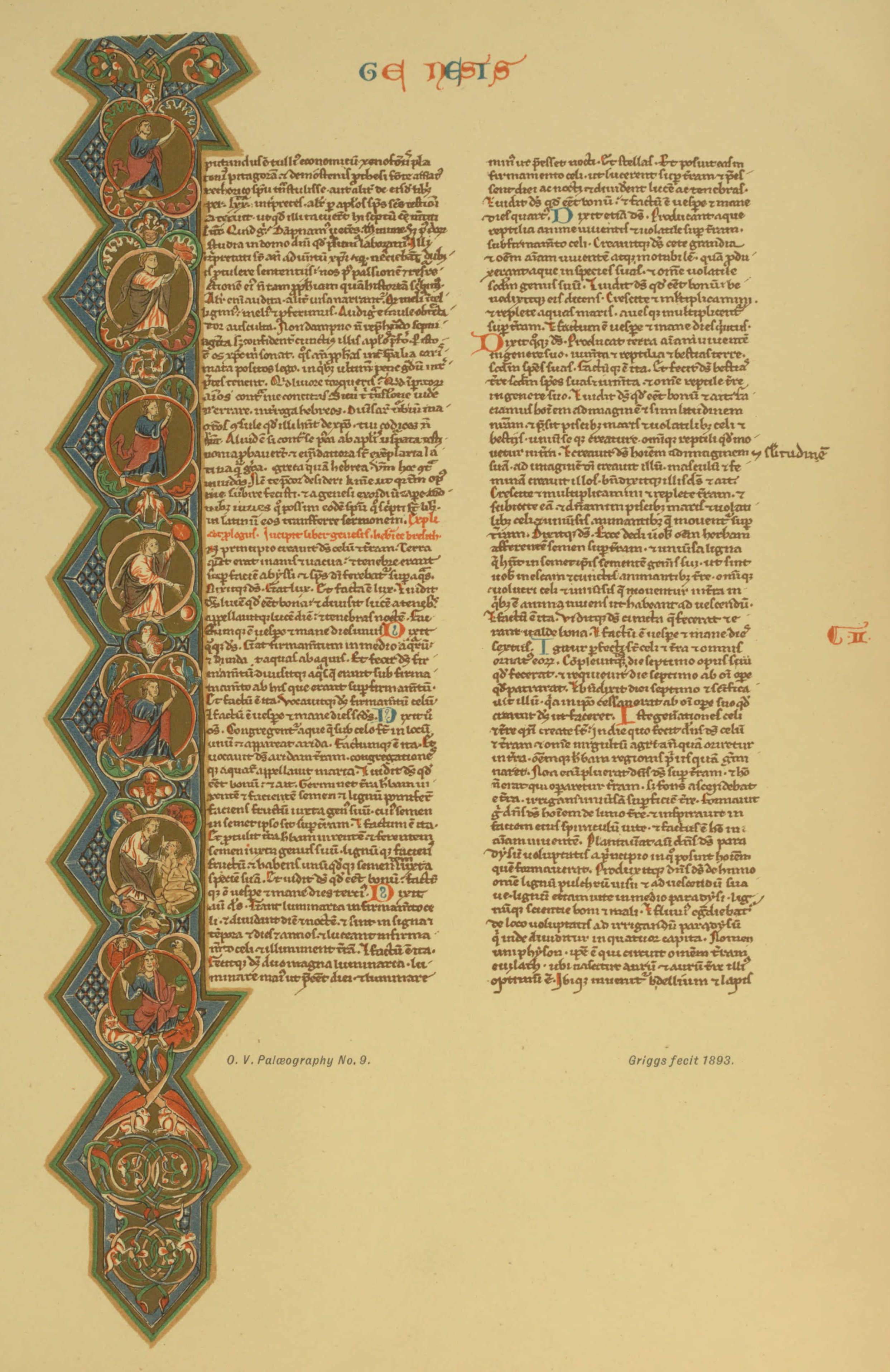 Plate 9