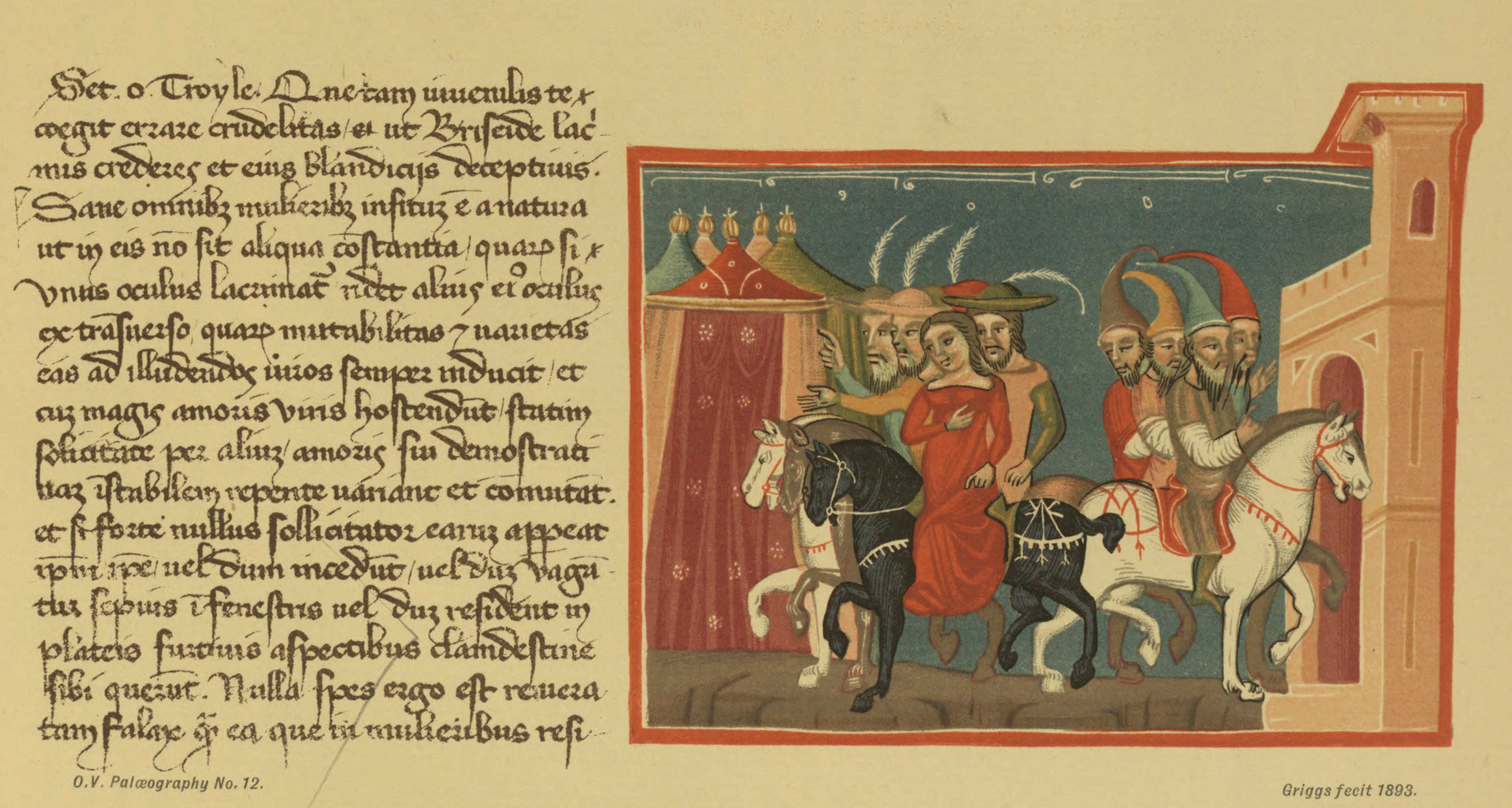 Plate 12