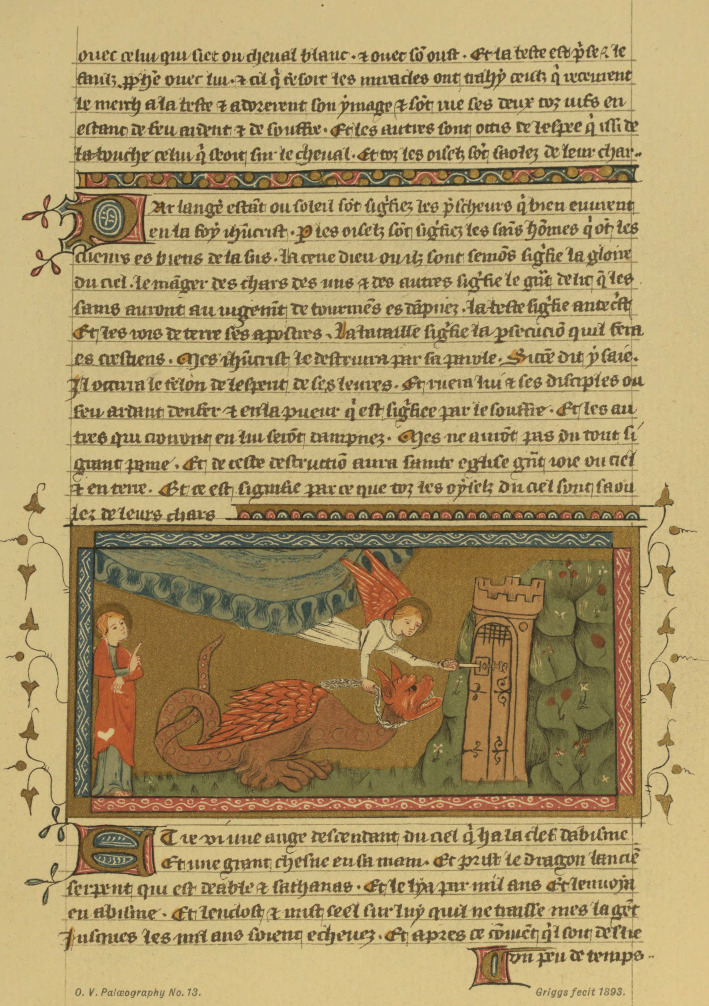 Plate 13