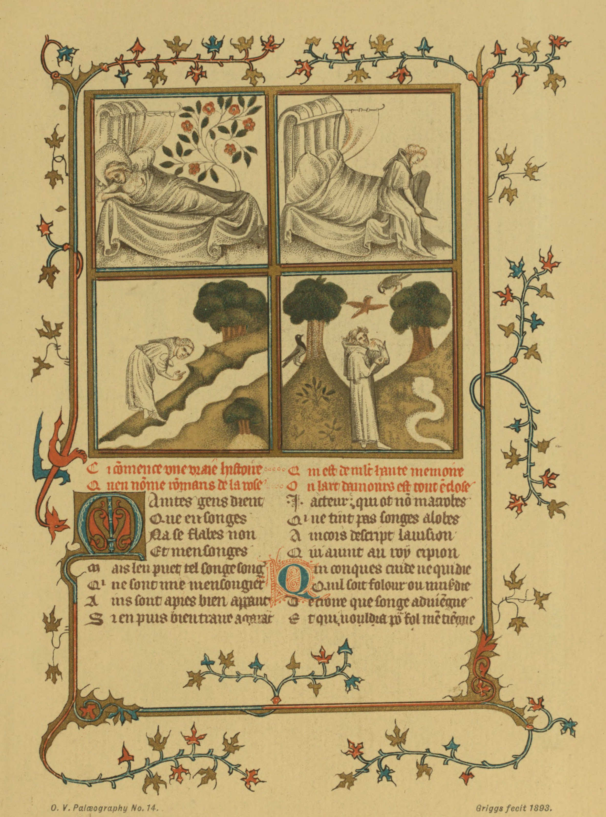 Plate 14