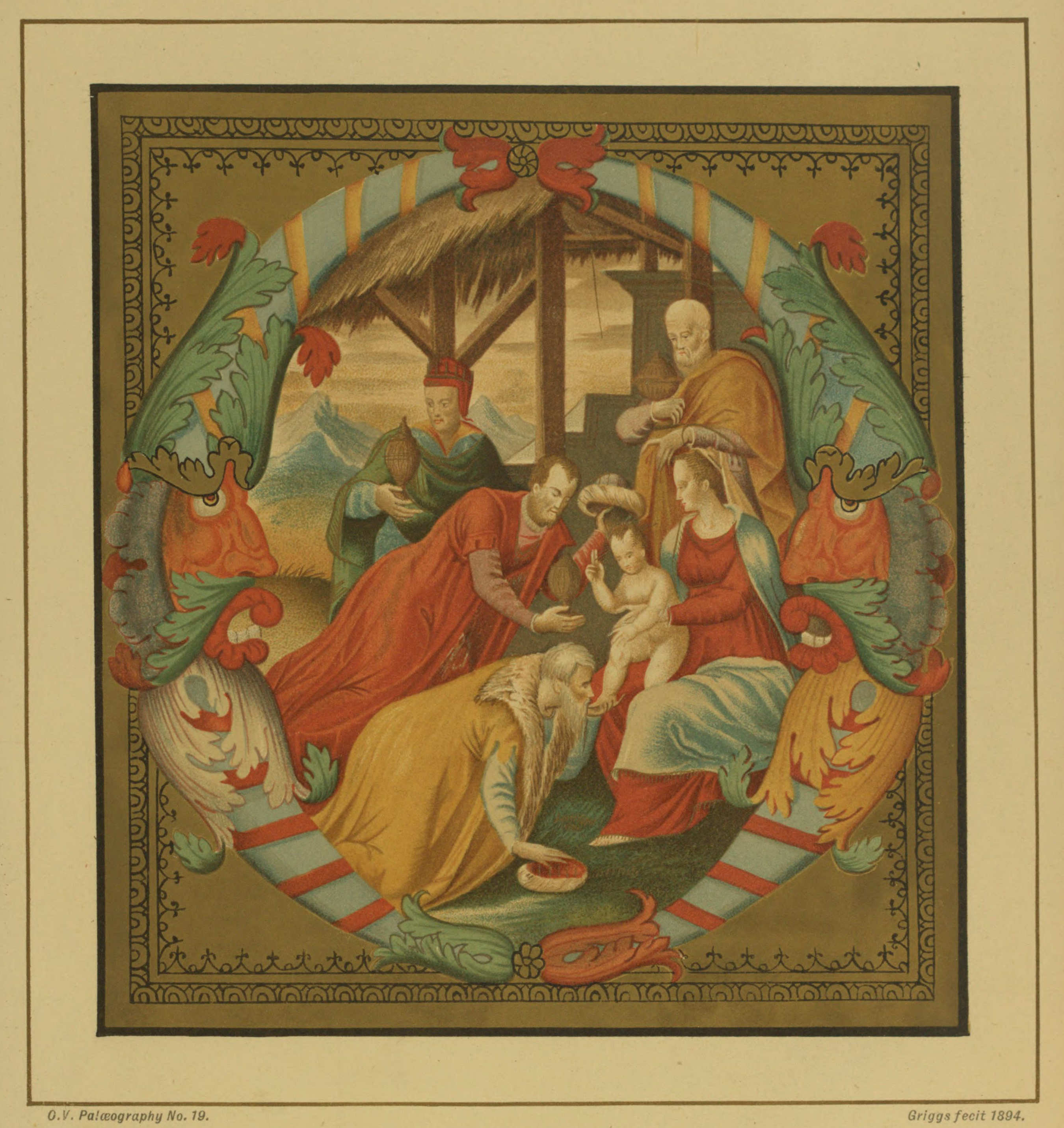 Plate 19