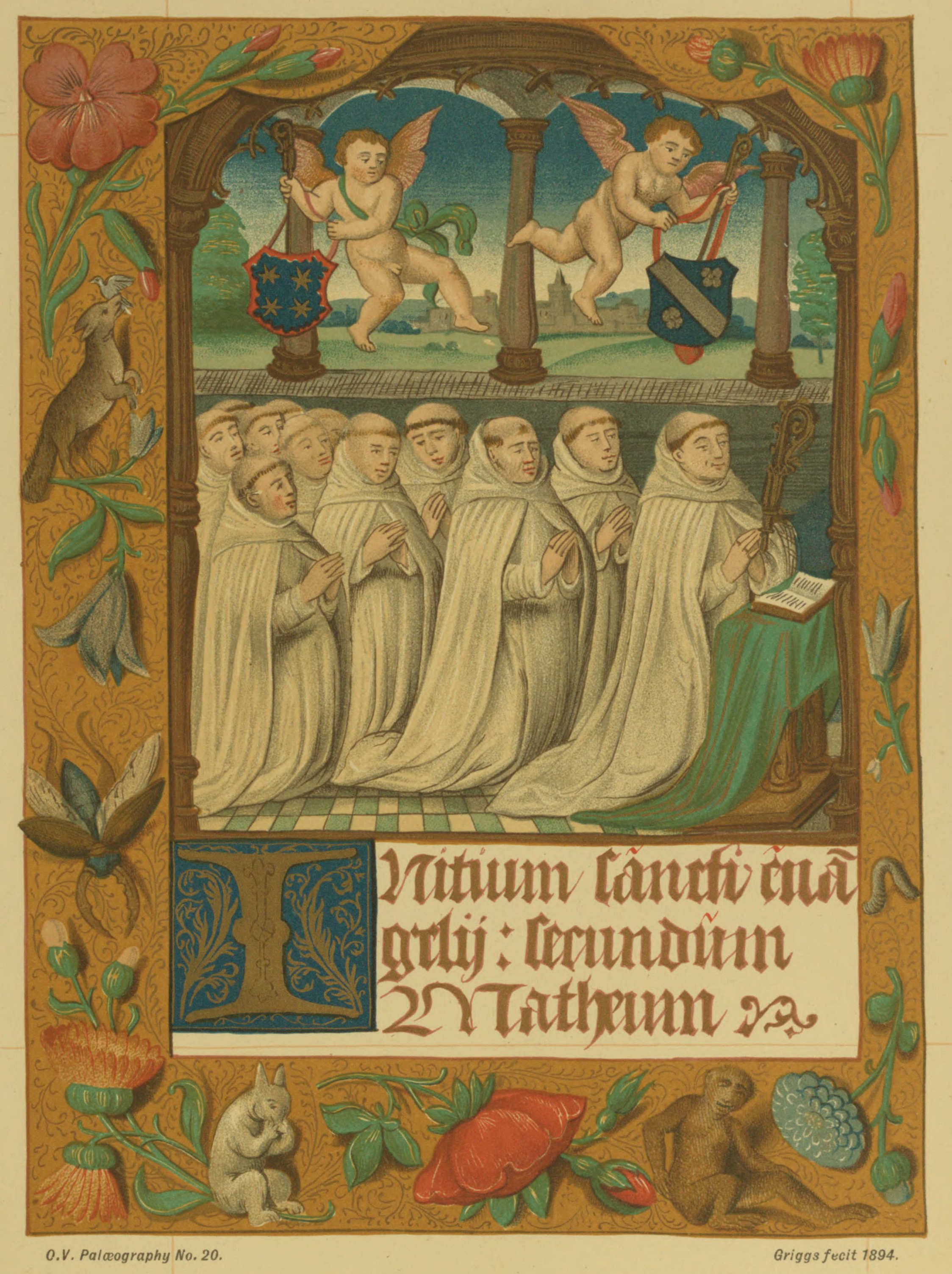 Plate 20