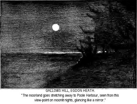 Gallows Hill, Egdon Heath
