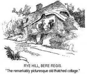 Rye Hill, Bere Regis