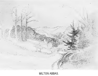 Milton Abbas