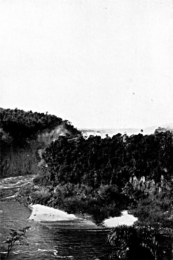 The Falls of the Yguassu