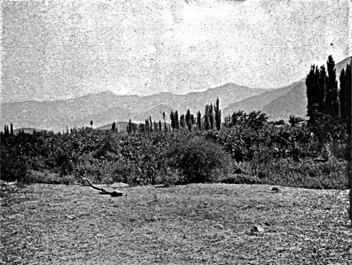 The Oasis of Andalgala