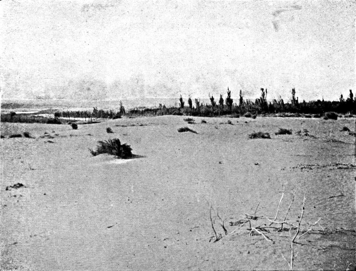 The Pampean Plain