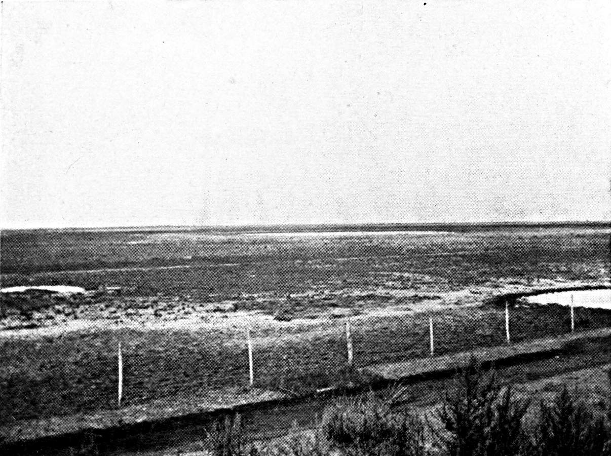 The Pampean Plain